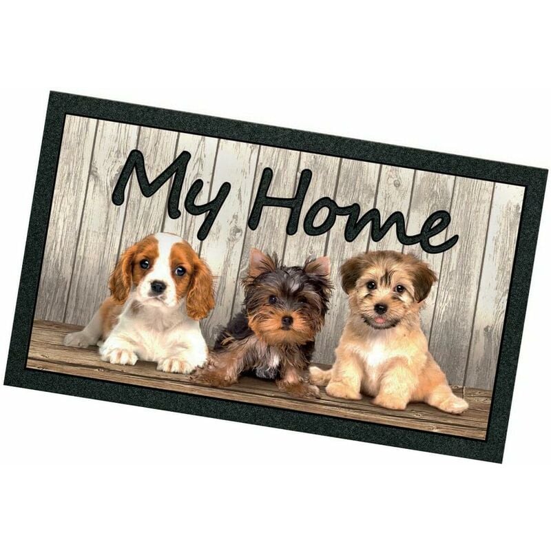 foto del prodotto emmevi mv s.p.a. - zerbino ingresso 40x70 asciugapassi antiscivolo moderno 100 made in italy - c