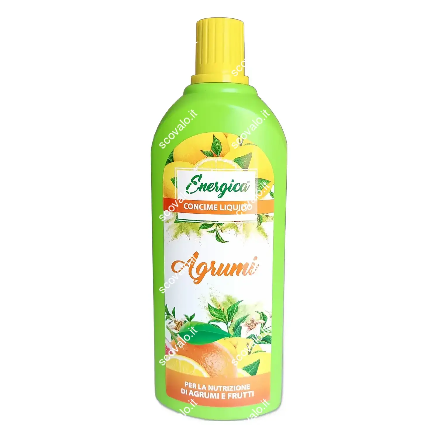 foto del prodotto energica concime liquido pianta di agrumi limone arancio 1lt rinverdente
