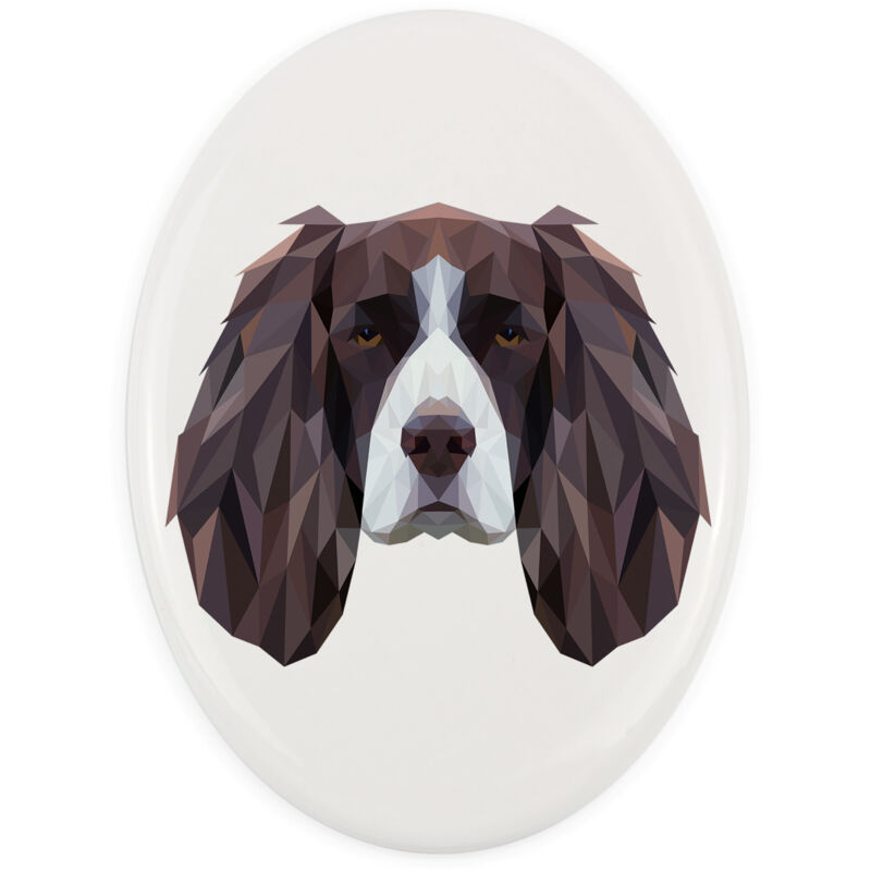 foto del prodotto english springer spaniel una targa con una foto e un iscrizione geometrica di art dog
