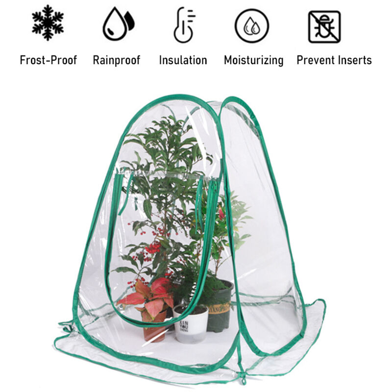 foto del prodotto eosnow mini serra copertura per piante serre in pvc pop up protezione per il cortile per la crescita dei fiori giardinaggio riparo per la pioggia