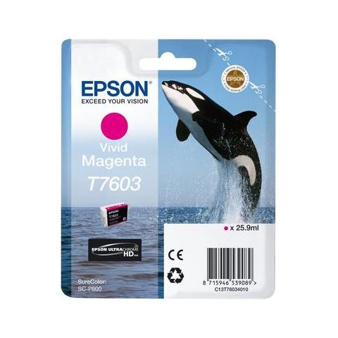 foto del prodotto epson c13t76034n10 cartuccia d inchiostro 1 pz originale magenta vivido