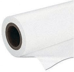 foto del prodotto epson premium semigloss photo paper 170 , in rotoli da 41, 91 cm x 30, 48m 16, 5 x 100 .