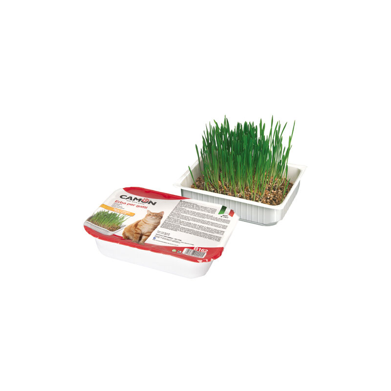 foto del prodotto erba gatto camon c semi orzo gatti display