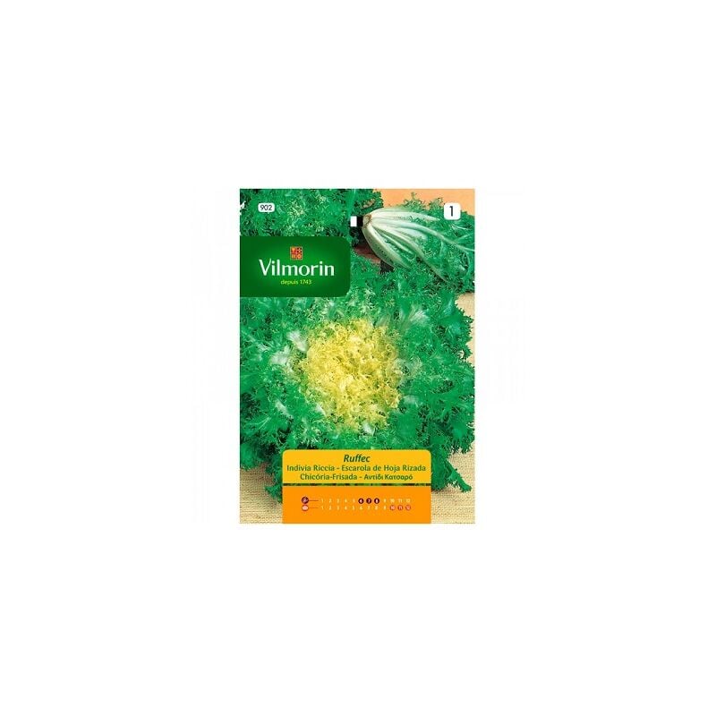 foto del prodotto escarola seeds ruffec s 1 902, oltre 8 gr vilmorin