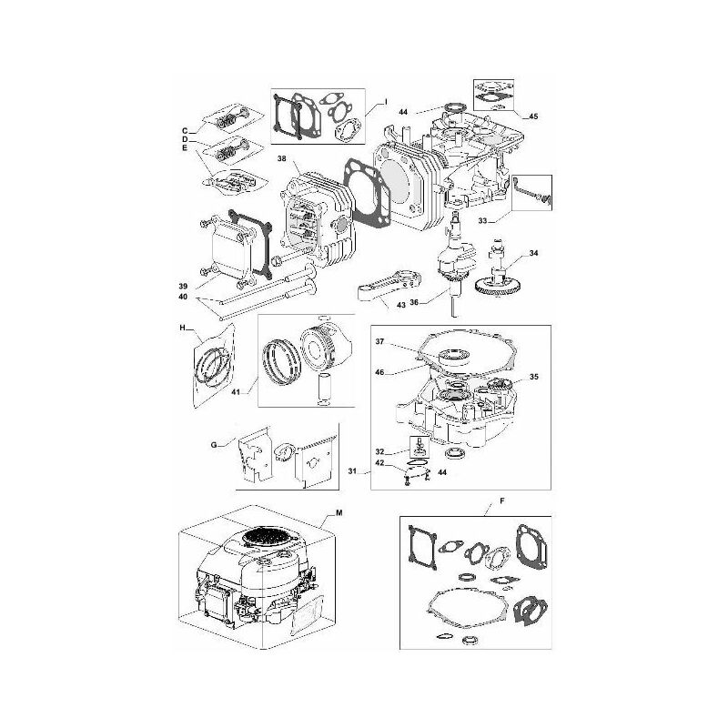 foto del prodotto esploso spaccato motore serie tre trattorino rasaerba castelgarden tre 701 ggp 69 ass. fasce elastiche