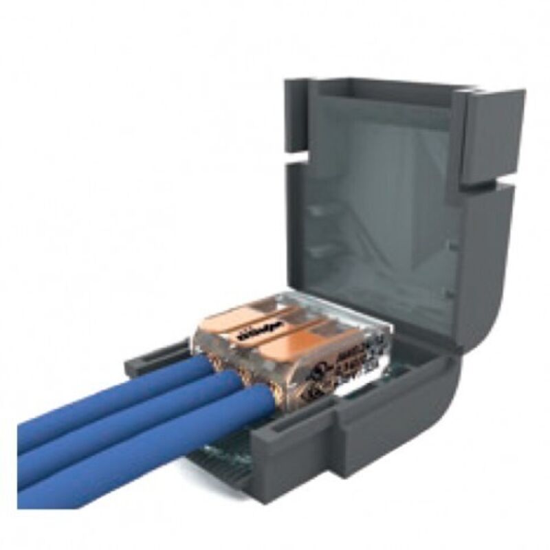 foto del prodotto etelec - dispositivo di connessione shellboxflat113 cf 2 pz mini box m mjbf113