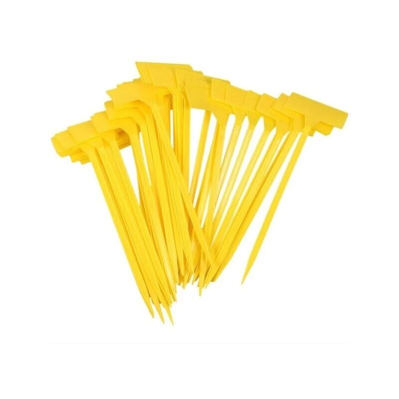 foto del prodotto etichette per piante confezione da 50 etichette per giardino esterno grandi etichette in plastica per orto etichette di crescita