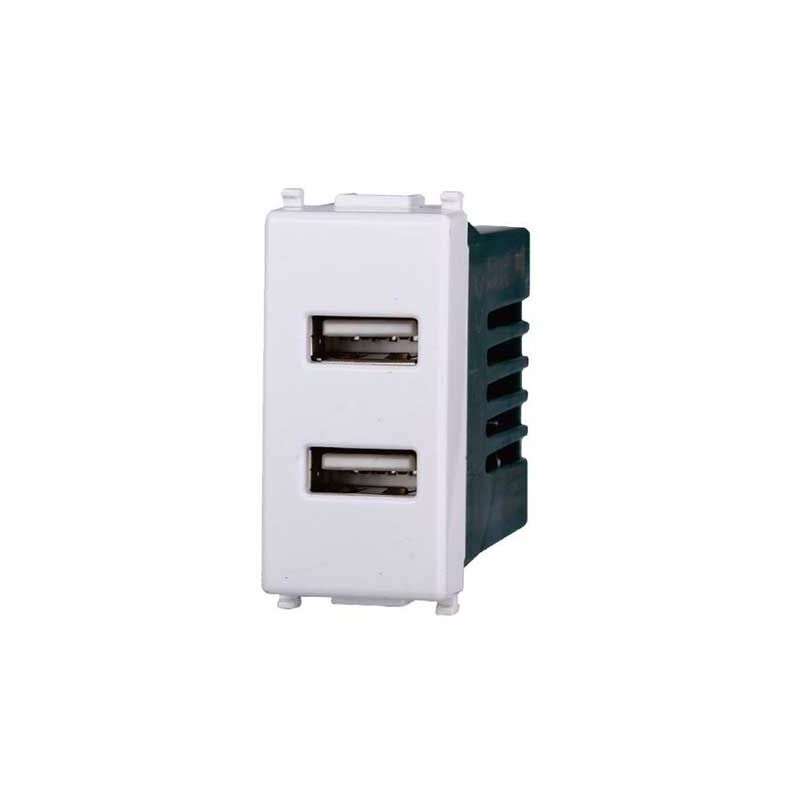 foto del prodotto ettroit modulo doppia presa usb 2.0 tipo a, 5vdc 2,1a, serie staright, bianco, compatibile con serie vimar plana ev2402