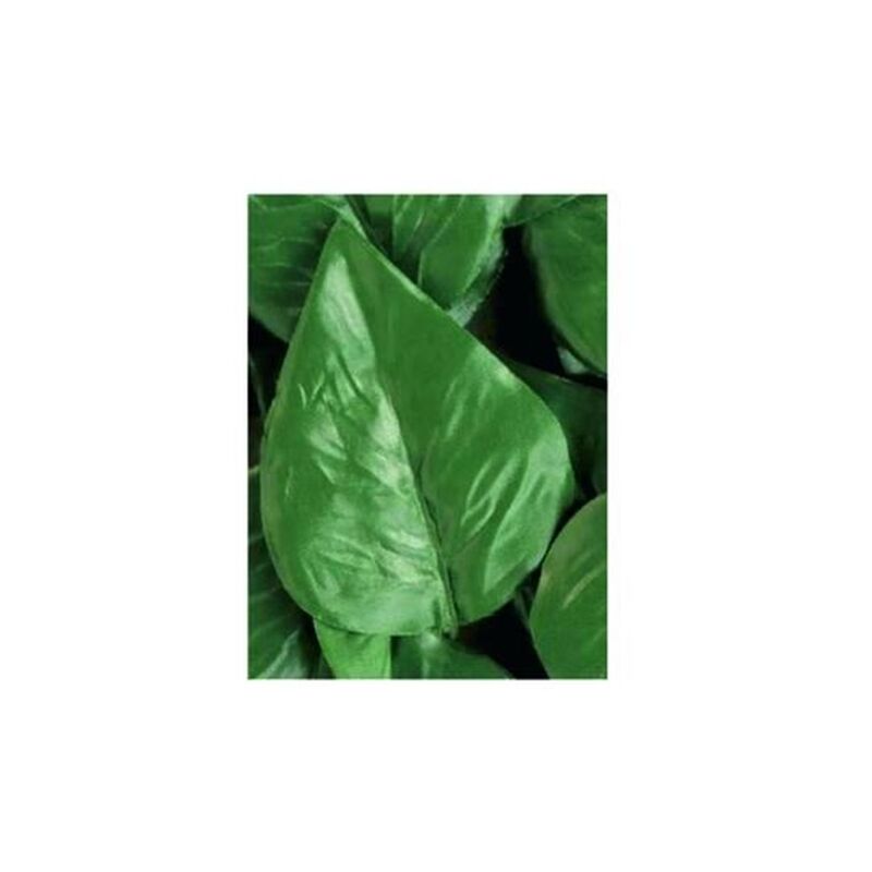 foto del prodotto eurostore07 foglie lauro di ricambio per siepe artificiale pz 20 fer 245524