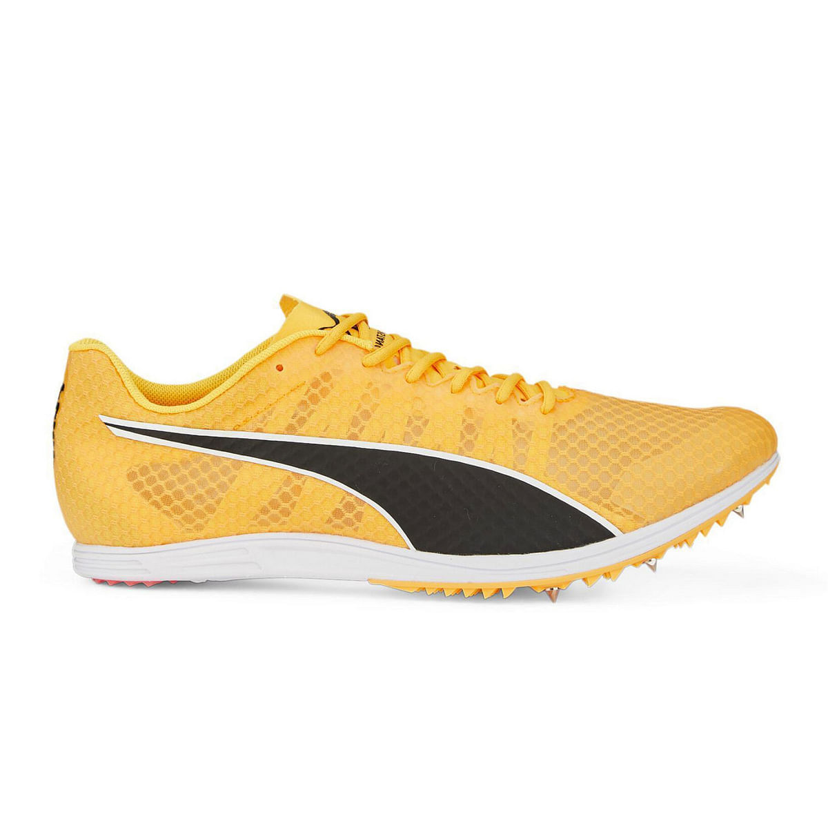 foto del prodotto evospeed distance 11