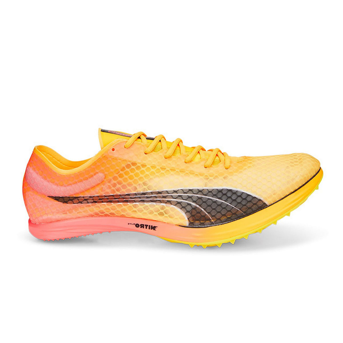 foto del prodotto evospeed distance nitro elite 2
