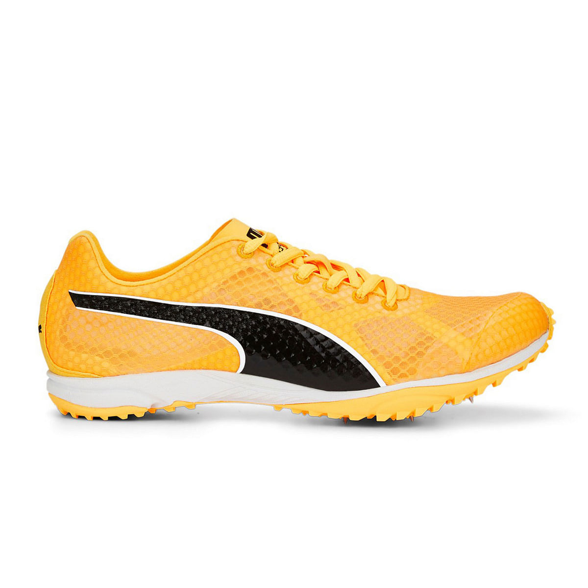 foto del prodotto evospeed haraka 7