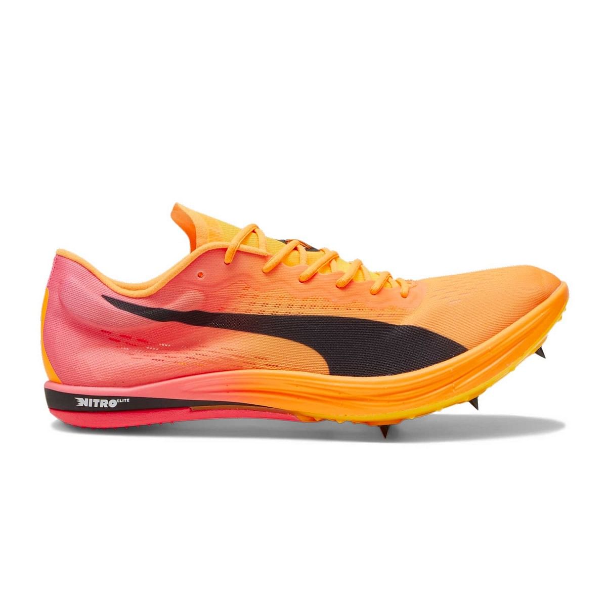 foto del prodotto evospeed long distance nitro elite 2
