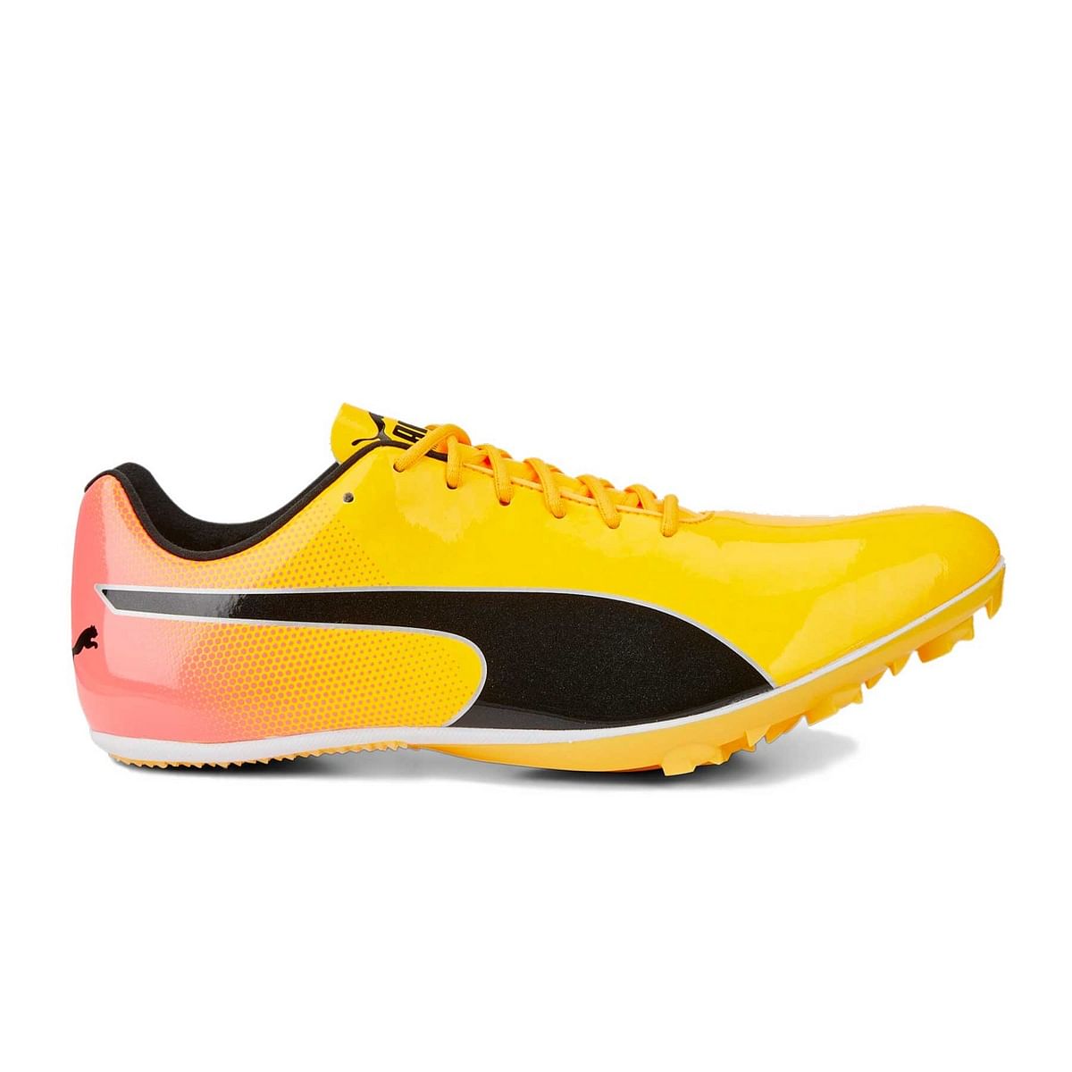 foto del prodotto evospeed sprint 14
