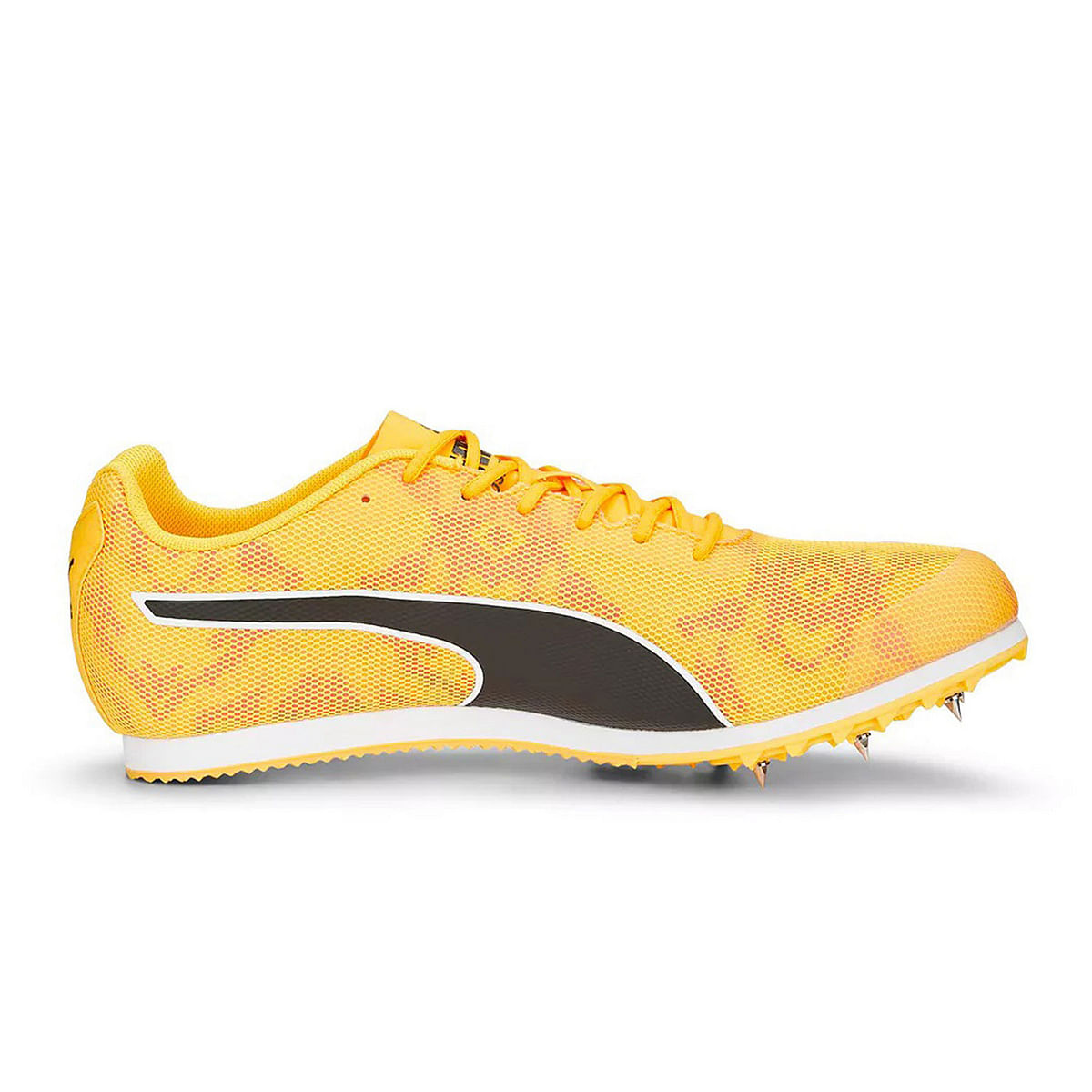 foto del prodotto evospeed star 8