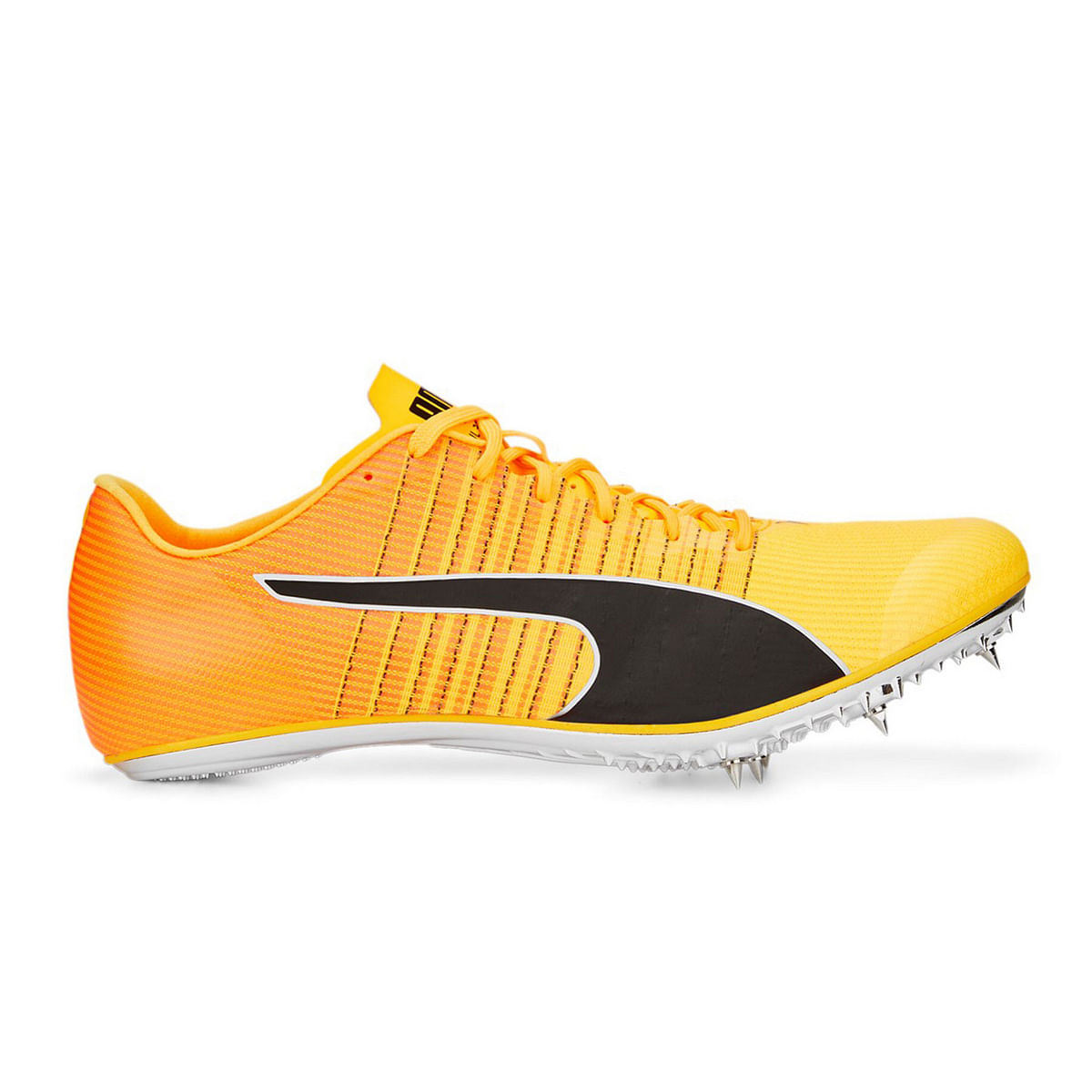 foto del prodotto evospeed tokyo brush 4