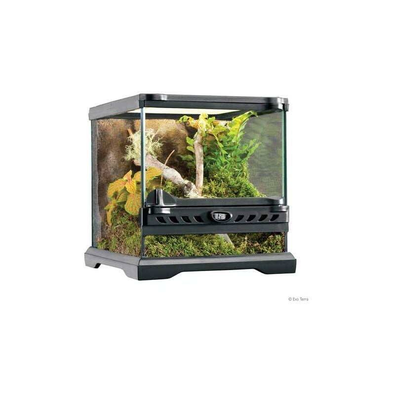 foto del prodotto exo terra terrary 10,5 l nano nano 22x22x22 cm