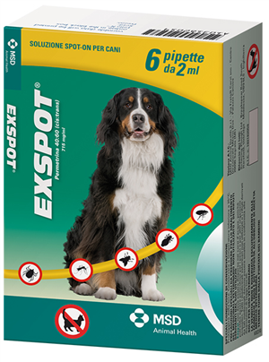foto del prodotto exspot 6 pip 2ml