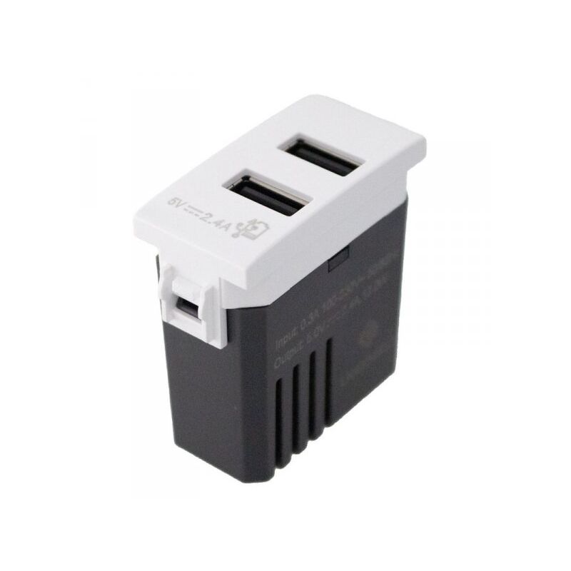 foto del prodotto extrastar modulo presa caricatore usb 5v 2,4a 2 porte usb a colore bianco compatibile con bticino living e vimar plana