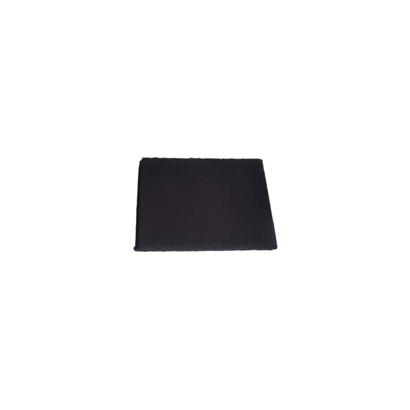 foto del prodotto f00262 filtro a carbone long life tipo 20 per cappuccio scholtes