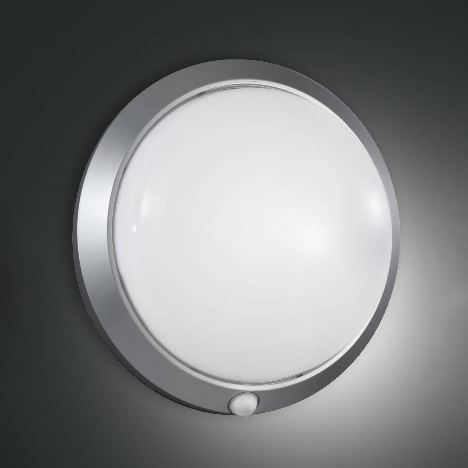 foto del prodotto fabas luce applique da esterno armilla, argento, rilevatore di movimento, 30 cm