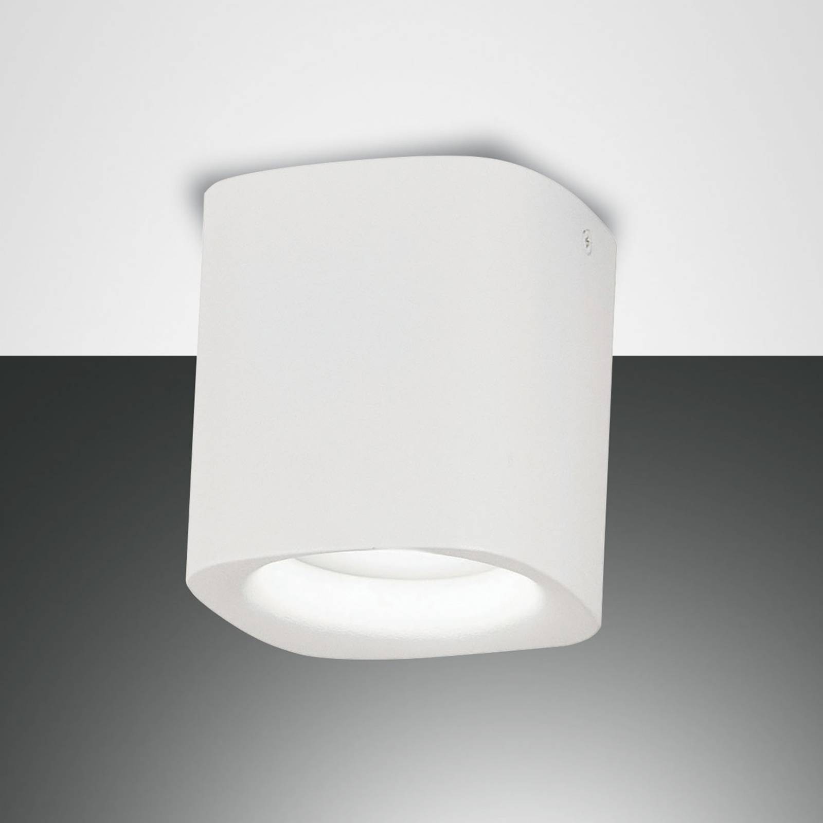 foto del prodotto fabas luce plafoniera smooth, 1 luce, bianca, ip44