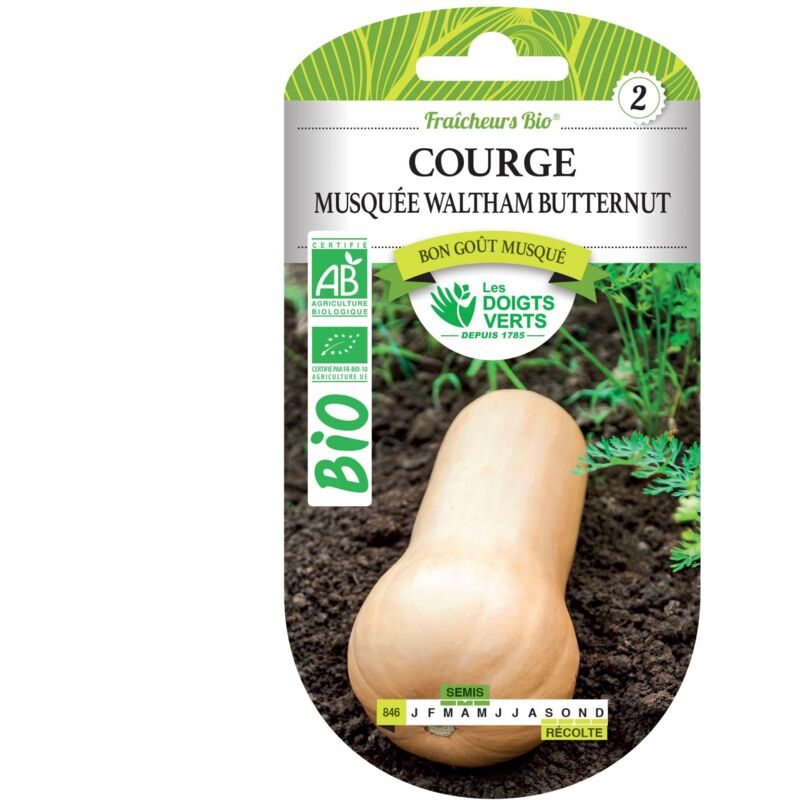 foto del prodotto fabre graines semi di zucca muschiata waltham butternut bio le dita verdi