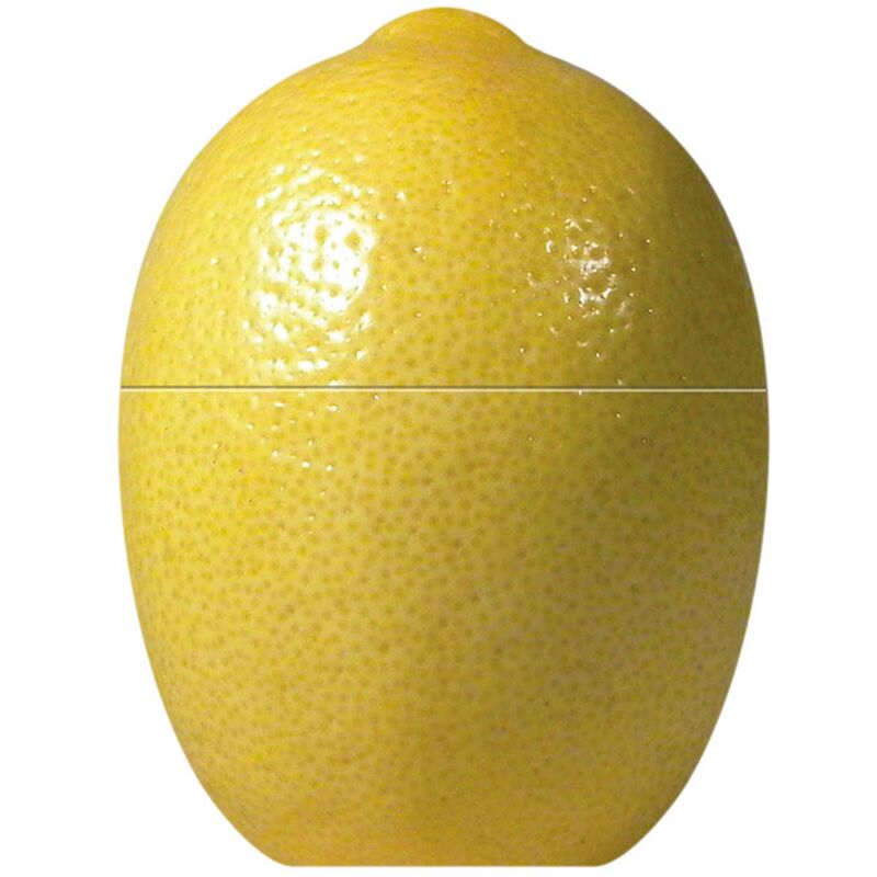 foto del prodotto fackelmann contenitore salvafreschezza per conservare il limone, plastica, giallo