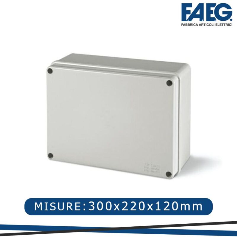 foto del prodotto faeg scat.stagna c cop.a vite ip56 300x220x120