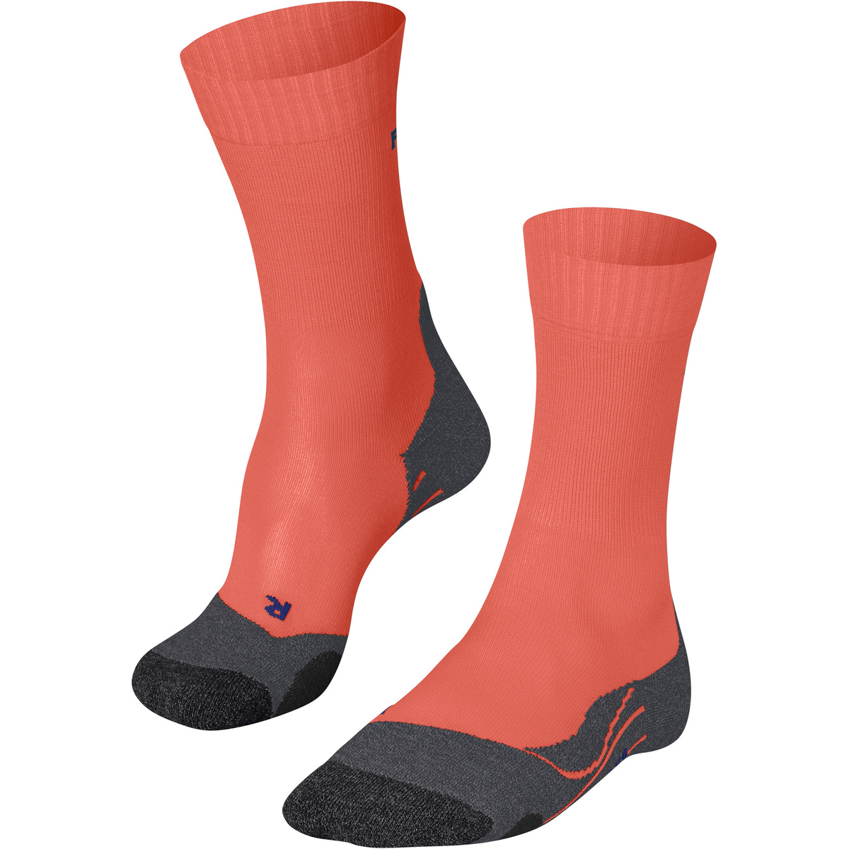 foto del prodotto falke donna calze tk2 cool