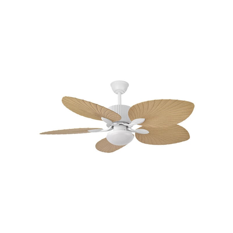 foto del prodotto fan dc 26w colla white 5 stage beech 132d 6 speed 2950lm 3000 4000 6000k remote timer memory fabrilamp