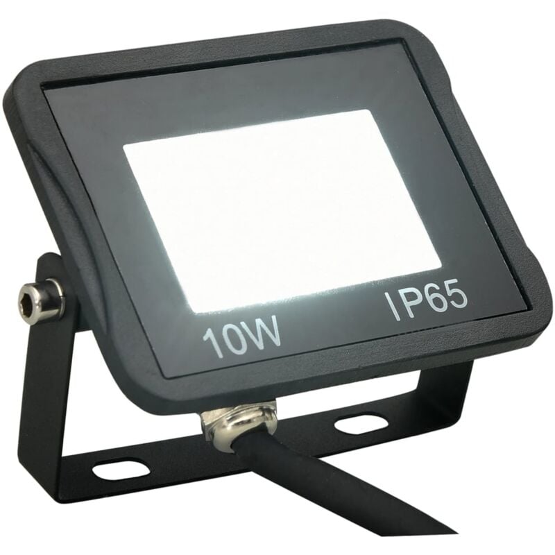 immagine 0 del prodotto faretto a led 10 w bianco freddo vidaxl