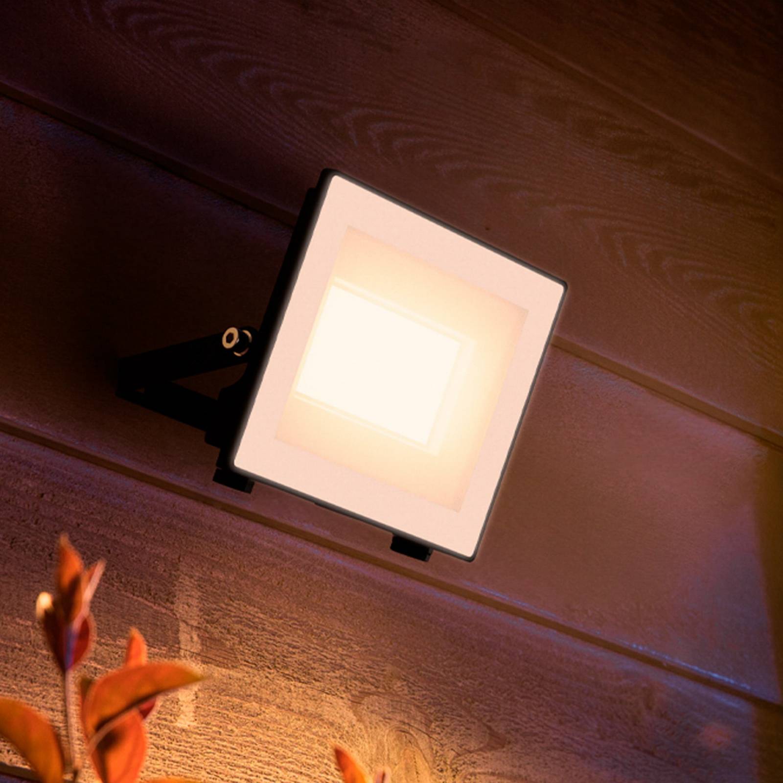 foto del prodotto faretto da esterno a led philips lois ue flood, 14 w, 3.000 k, ip65