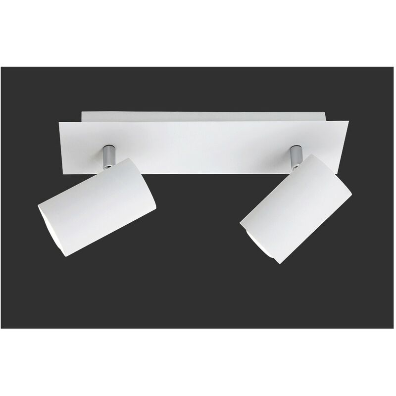 foto del prodotto faretto da soffitto 2 spot orientabili marley bianco trio lighting