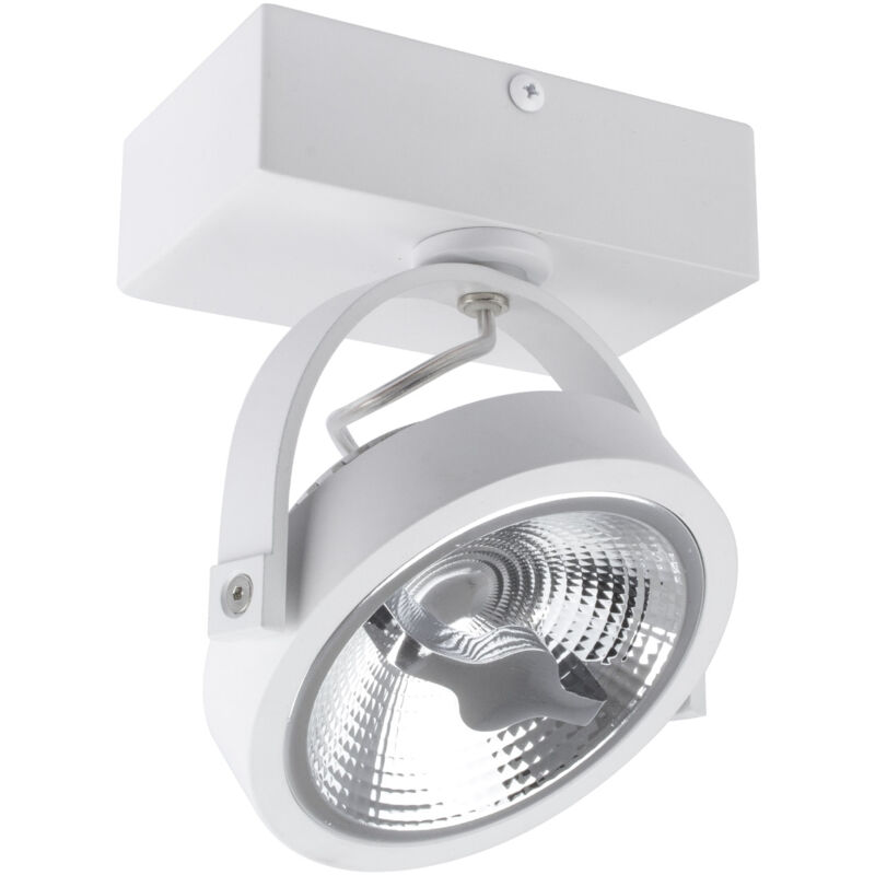 foto del prodotto faretto led 15w cree da superficie orientabile ar111 regolabile bianco bianco caldo 2700k