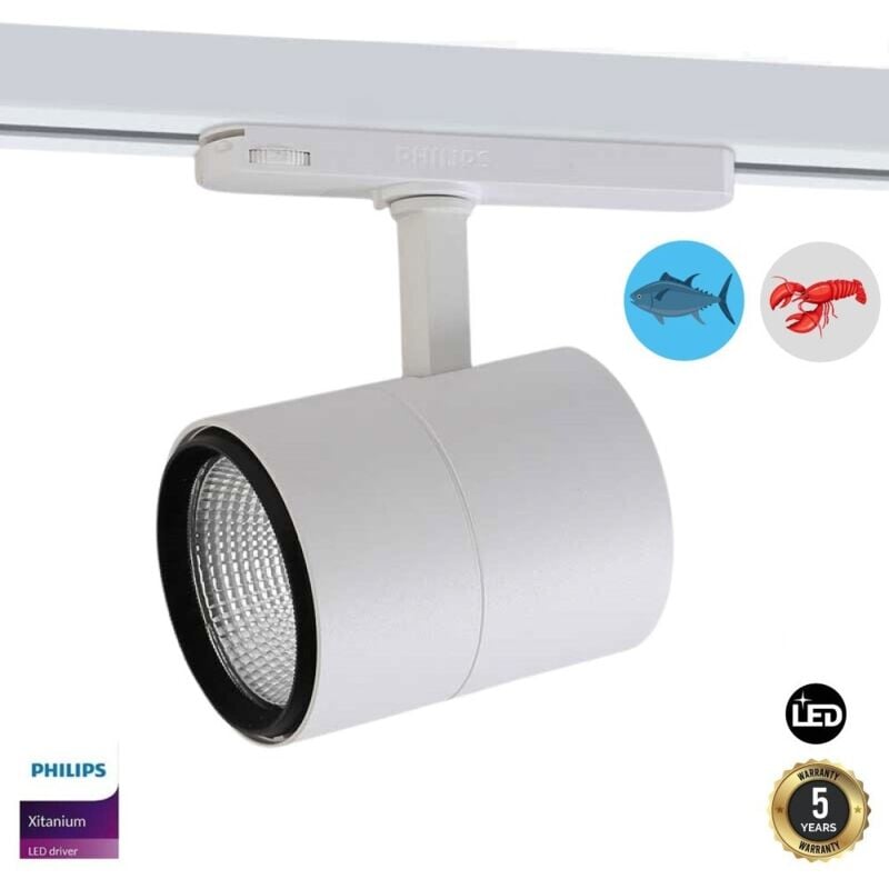 foto del prodotto faretto led a binario trifase 30w per pesce e frutti di mare