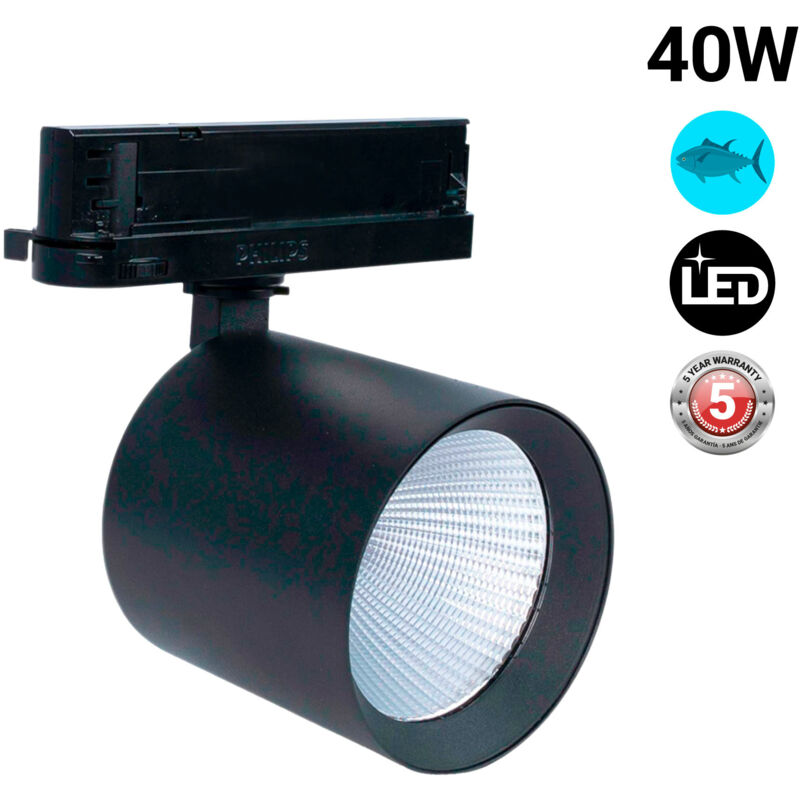 foto del prodotto faretto led a binario trifase 40w pesce e frutti di mare 