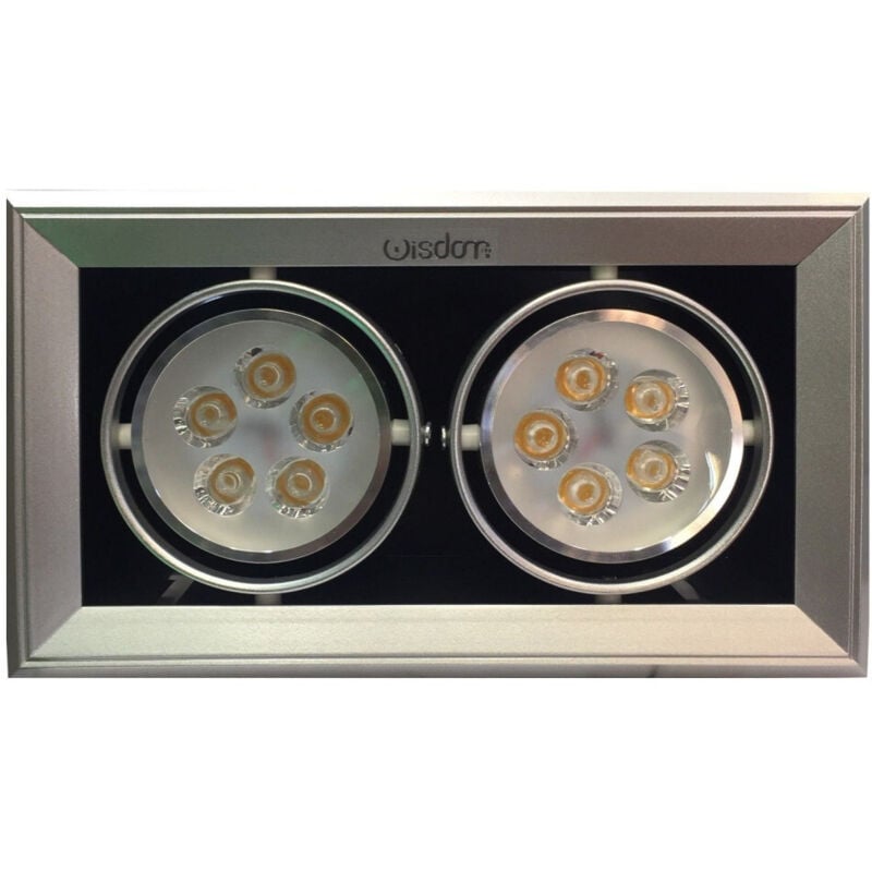 foto del prodotto faretto led ad incasso per ambienti commerciali da 2x5w orientabili bianco caldo wisdom