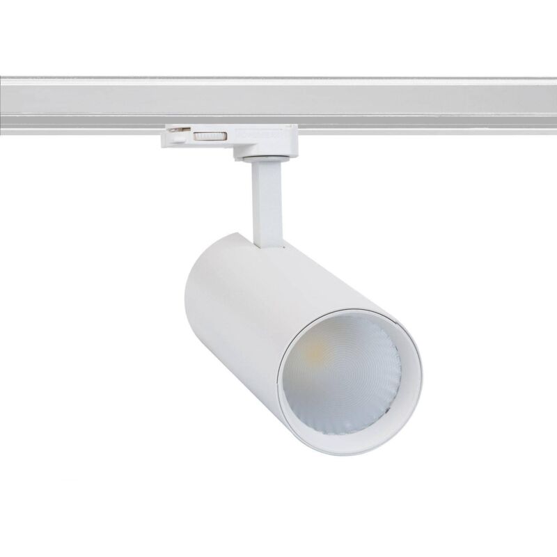 foto del prodotto faretto led binario trifase 30w bertha lifud bianco bianco freddo 6000k