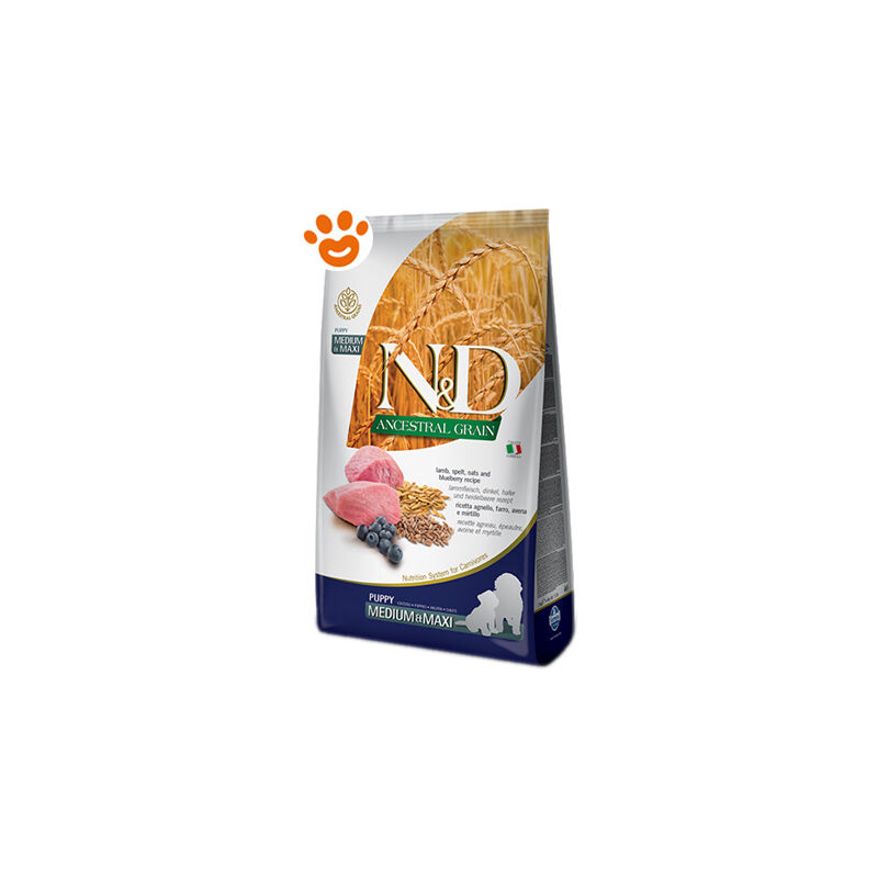 foto del prodotto farmina dog n d ancestral grain puppy medium maxi agnello e mirtillo dog n d ancestral grain puppy medium maxi agnello e mirtillo sacco da 2,5 kg