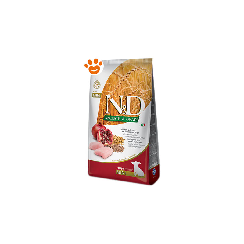 foto del prodotto farmina dog n d ancestral grain puppy mini pollo e melograno dog n d ancestral grain puppy mini pollo e melograno sacco da 800 gr