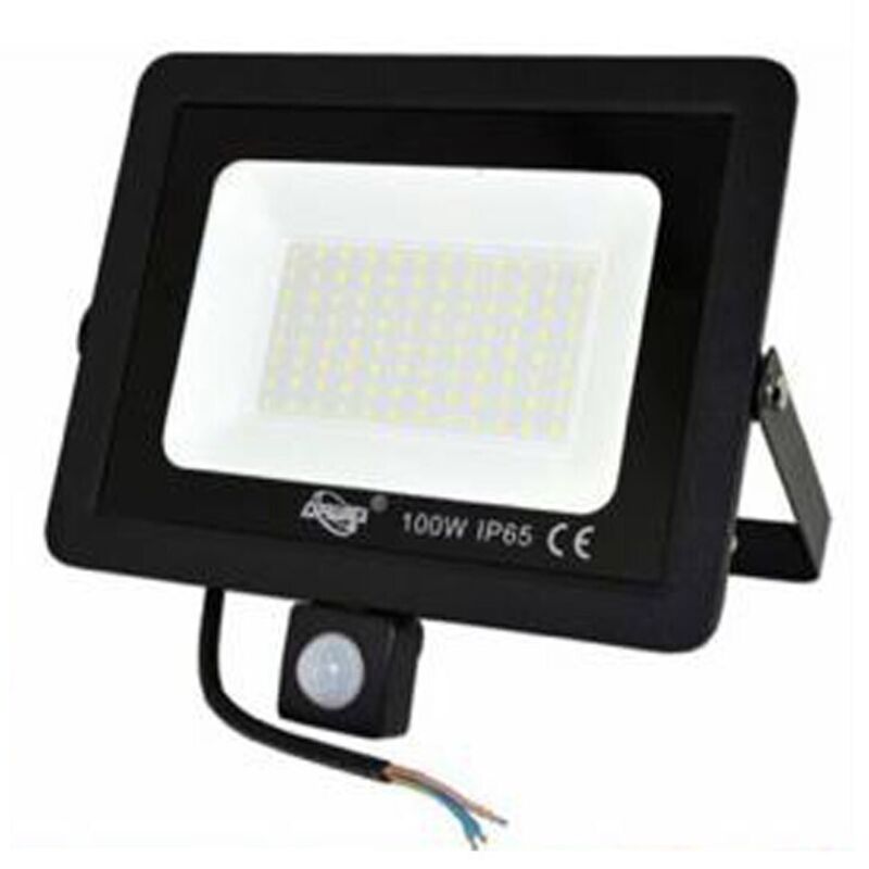 foto del prodotto faro led faretto giardino 100w luce fredda sensore movimento crepuscolare