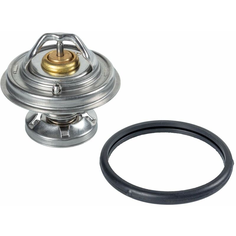 foto del prodotto febi bilstein 09672 termostato, refrigerante