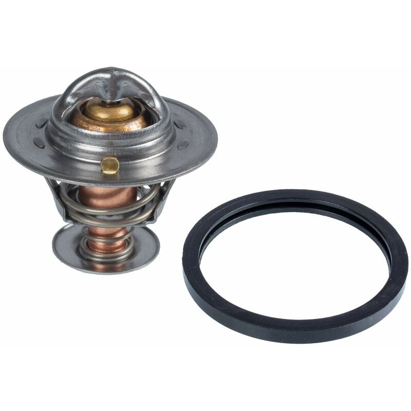 foto del prodotto febi bilstein 23981 termostato refrigerante
