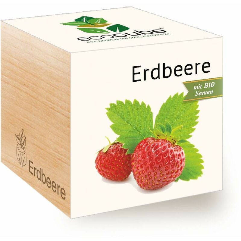 foto del prodotto feel green ecocube semi di fragola biologici, idea regalo sostenibile 100 eco friendly , grow your own set di coltivazione, piante nel dado di
