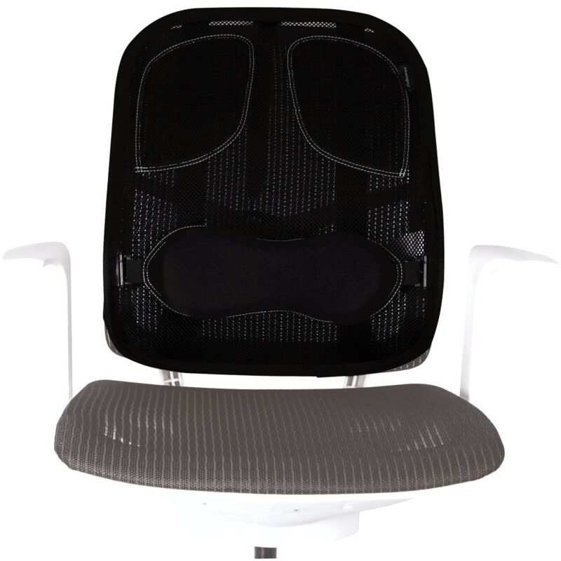 foto del prodotto fellowes 8029901 supporto schiena in rete professional series, nero