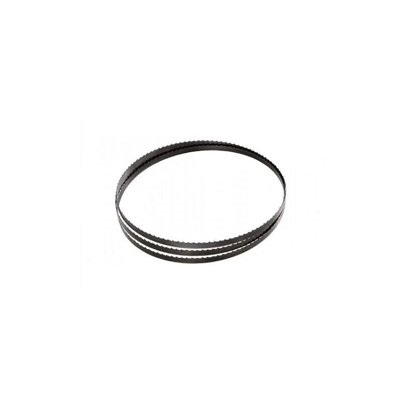 immagine 0 del prodotto femi lama a nastro 6 z 1 1335x13x0,65 mm ng110 3280065