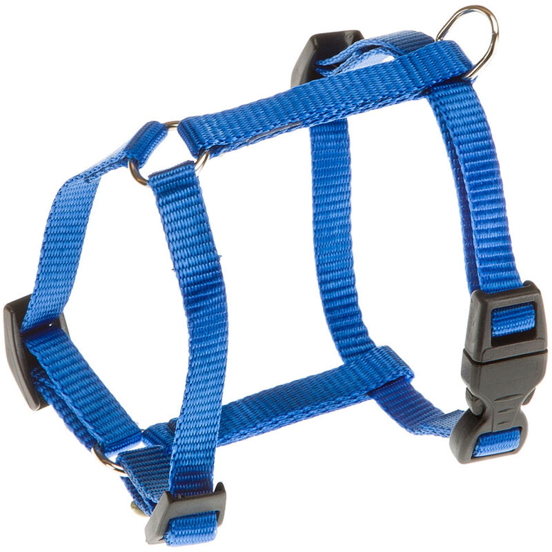 foto del prodotto ferplast champion p pettorina in nylon per cani. vari colori, varie misure.. variante extra small misure a 22 28 cm b 25 38 cm 10 mm blu