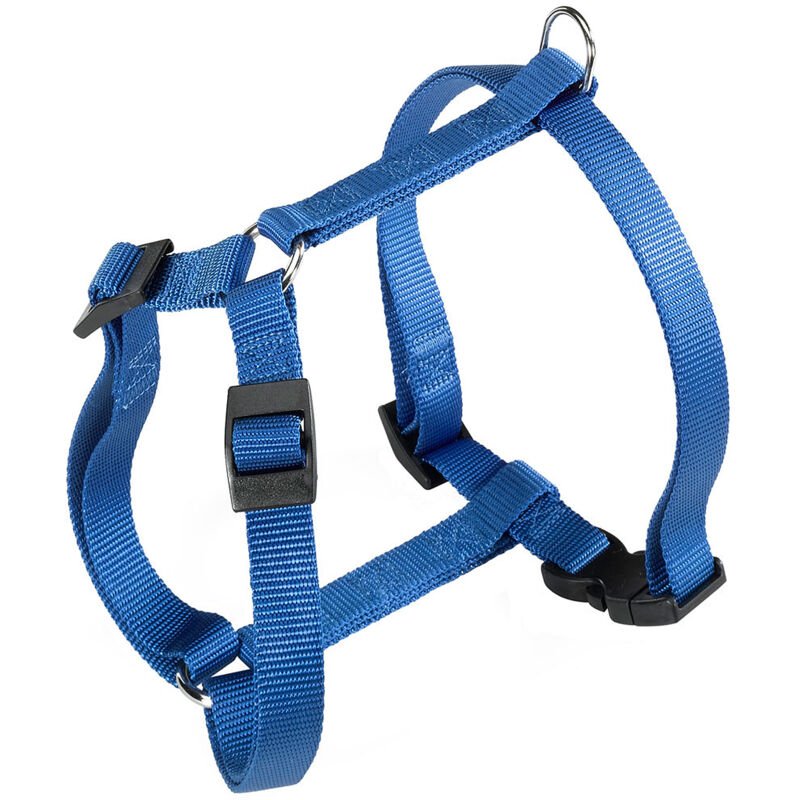 foto del prodotto ferplast champion p pettorina in nylon per cani. vari colori, varie misure.. variante medium misure a 37 57 cm b 44 72 cm 15 mm blu