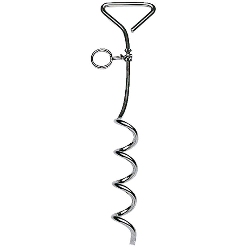 foto del prodotto ferplast chiodo pa 6514 picchetto fermacane in acciaio cromato. variante pa 6514 misure h 40.5 cm 